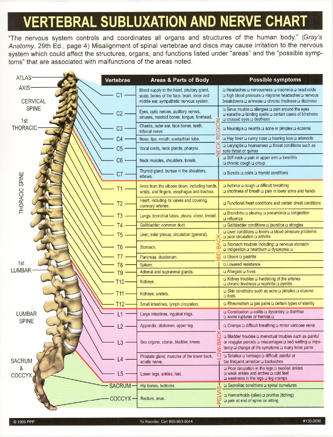 Chiropractor | DeLand Chiropractic & Spinal Decompression