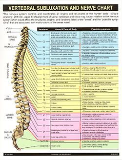 Chiropractor | DeLand Chiropractic & Spinal Decompression